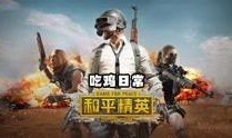 和平相处爆料视频大全下载,揭秘和谐共处背后的故事