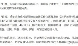 哈尔滨新增病例最新爆料,最新爆料揭示疫情动态