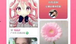 黑哥爆料最新视频下载,揭秘幕后真相，带你走进事件核心