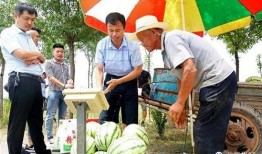 兴平吃瓜最新事件爆料新闻,最新爆料揭示惊人内幕