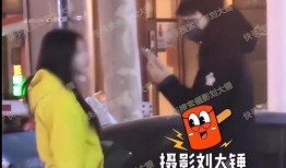 刘大锤爆料视频合集下载,揭秘娱乐圈幕后真相