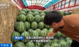 吃瓜香的网红有哪些人,揭秘网红们的多彩人生