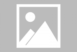 蛋仔皮肤爆料动画视频,炫酷造型与独特技能大曝光