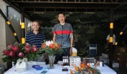 南非大使馆爆料视频大全,爆料视频大全精彩回顾