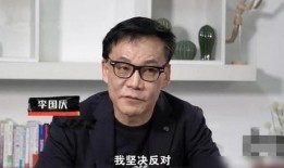 李国庆最新爆料,揭秘企业内幕与个人争议