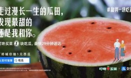 支付宝免费吃瓜,夏日清凉福利大放送！