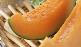 哈密瓜餐厅免费吃音乐,免费音乐盛宴，尽享美食与旋律的完美邂逅