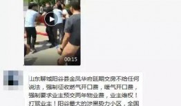 阳谷邻居爆料事件视频,邻里纠纷引热议