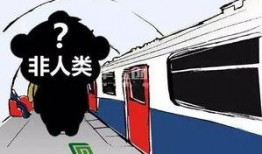 石家庄铁路最新爆料,揭秘未来交通蓝图