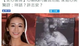 广西二姐前夫爆料视频播放,揭秘背后惊人真相