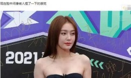 秦岚隐私爆料视频,揭秘背后真相与影响