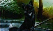 狼王事件爆料视频大全,揭秘爆料视频背后的真相与争议