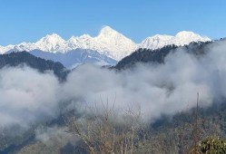 雅安名山新闻爆料,雅安名山最新爆料，聚焦热点事件