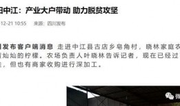 四川经济新闻爆料网站,聚焦川企发展动态，解码区域经济新篇章