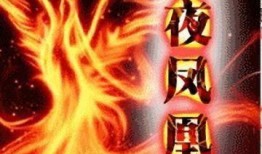 血夜在线观看,在线揭秘惊悚悬疑剧情