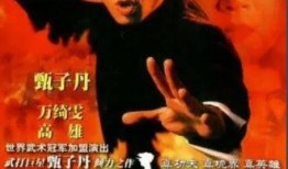 精武门电视剧在线观看,热血传奇，武术巅峰对决！