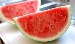 免费吃瓜的方法,轻松享受美食盛宴