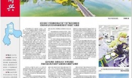 长江日报新闻爆料,揭秘长江流域生态保护重大进展