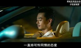 鸭王2视频在线观看