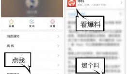 视频爆料 入口在哪,一探究竟，揭秘神秘入口之谜