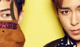 gdtop圈内人爆料,揭秘行业幕后真相