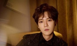 娱乐八卦爆料鹿晗,娱乐圈再掀波澜