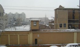 鹅厂高层爆料事件视频,揭秘科技巨头内部真相