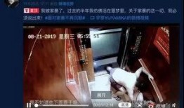 网红爆料家暴视频播放在线观看,网络直播下的家庭暴力真相