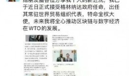 匿名爆料者造谣视频,揭秘匿名爆料者造谣视频真相