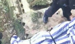 网友爆料自贡事件视频,网友爆料视频揭示惊人真相