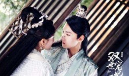 双世宠妃电视剧在线观看,在线观看浪漫开启！