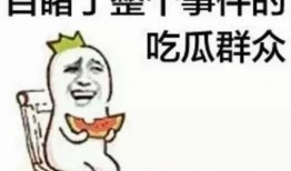 网红吃瓜群众免费吃瓜视频,揭秘热门视频幕后故事