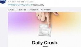 热点爆料视频有什么用处,洞察社会现象，助力舆论引导