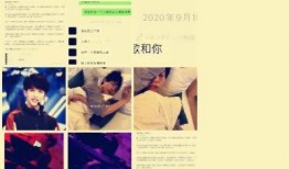 站姐爆料偶像是谁啊视频,神秘偶像身份揭晓，视频揭秘偶像真容