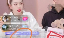 嘴哥老婆爆料视频播放大全,揭秘娱乐圈背后的真相