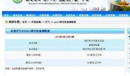 今日武汉最新爆料