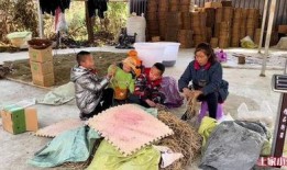 土家小木爆料视频,视频内容深度解析