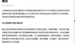 小崔继续大爆料最新