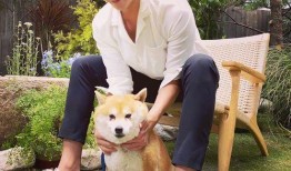 圈内爆料杨洋和邓伦,揭秘娱乐圈兄弟情深