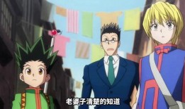 全职猎人动画在线观看,动画版在线观看，探索猎人的世界之旅