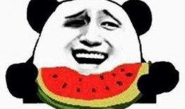 网红吃瓜群众免费吃瓜视频,揭秘热门视频幕后故事