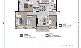 惠州惠阳区爆料今日头条,今日头条聚焦热点事件