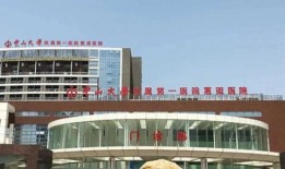 惠州惠阳区爆料今日头条,今日头条聚焦热点事件