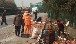 2025杞县柿园车祸最新爆料,最新爆料揭示悲剧真相