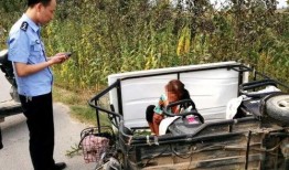 2025杞县柿园车祸最新爆料,最新爆料揭示悲剧真相