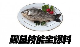 北极鲫鱼爆料视频,揭秘神秘生物的生存智慧与生态环境