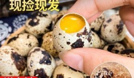 鸟蛋零食爆料视频,视频爆料背后的美味诱惑