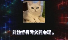 直播娱乐吃瓜,揭秘娱乐圈吃瓜背后的真相