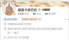 卡哥最新爆料视频下载大全,揭秘幕后真相，尽在这份独家汇总