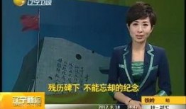 电视台新闻爆料电话,电视台新闻爆料热线背后的故事